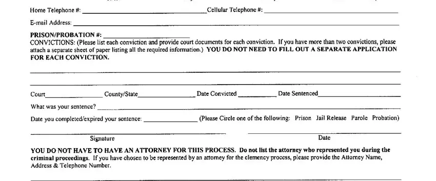 application for clemency conclusion process detailed (portion 2)