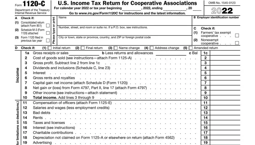 Stage number 1 of filling out Form 1120 C