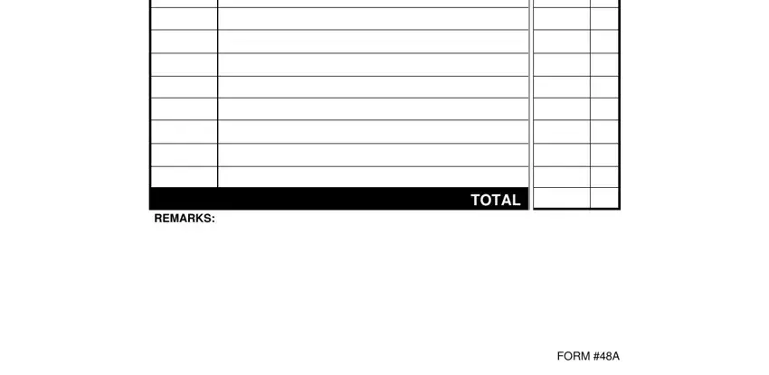 Stage # 2 in filling in plane ticket template