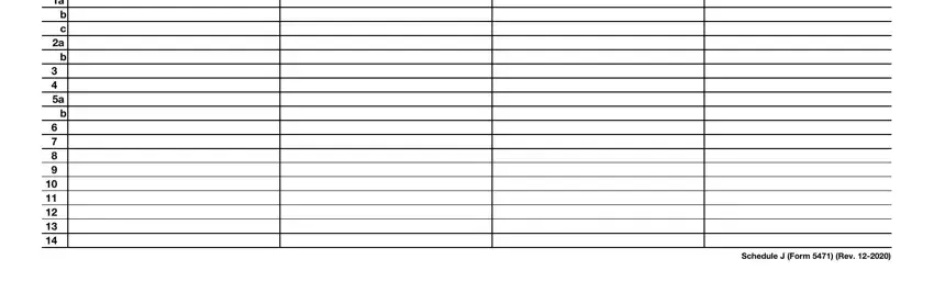 Stage number 4 for filling out form 5471 schedule m instructions