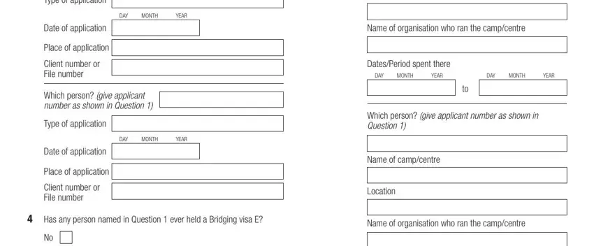 Part # 3 of filling out form 866 protection visa