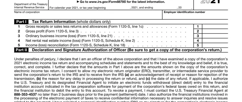 Stage number 1 of filling in irs form 8879