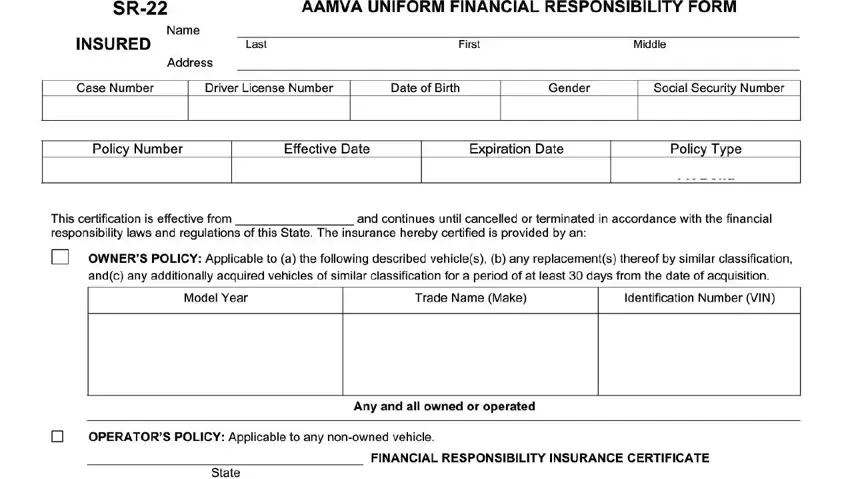Guidelines on how to prepare form sr 22 uniform responsibility portion 1