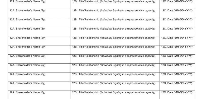 A Shareholders Name By, C Date MMDDYYYY, and A Shareholders Name By in 867 form