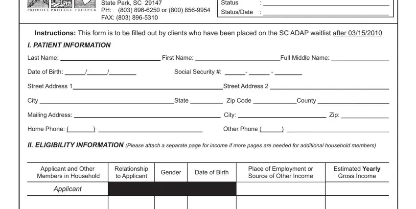 Form Dhec 1516 writing process shown (part 1)