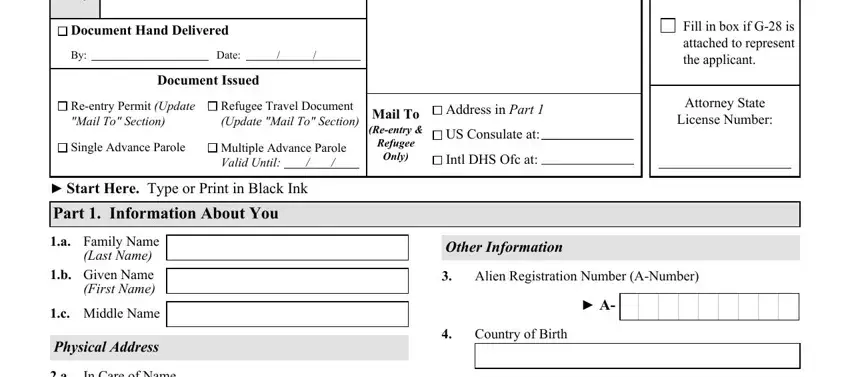 How to fill in application travel document part 1