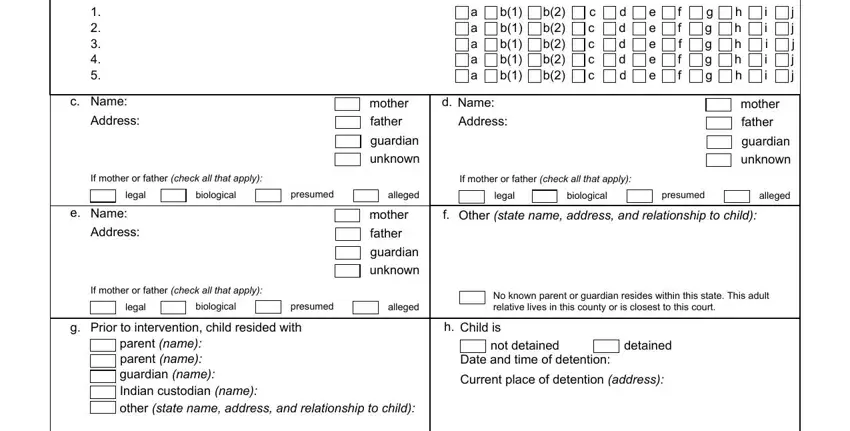 a a a a a, Age Date of birth Gender Section, and b Childs name inside california form juvenile petition