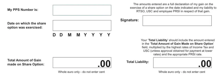 The amounts entered are a full, exercise of a share option on the, and RTSO USC and employee PRSI in inside rtso1