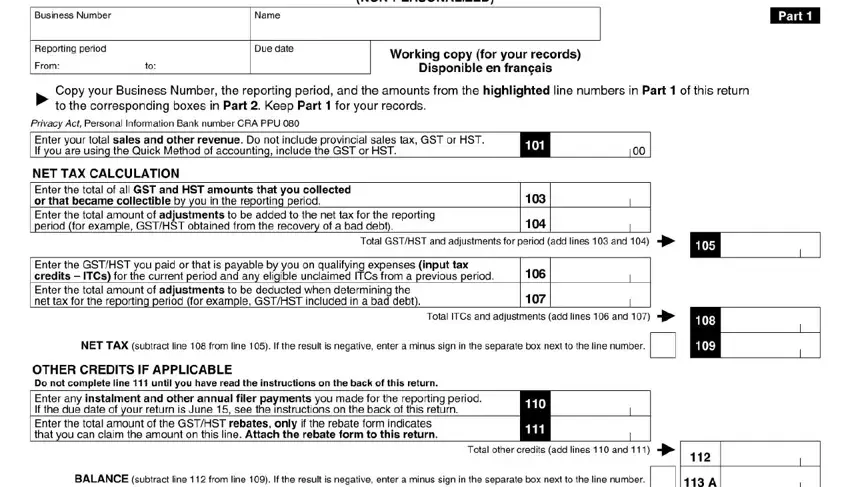 Guidelines on how to prepare file hst return portion 1
