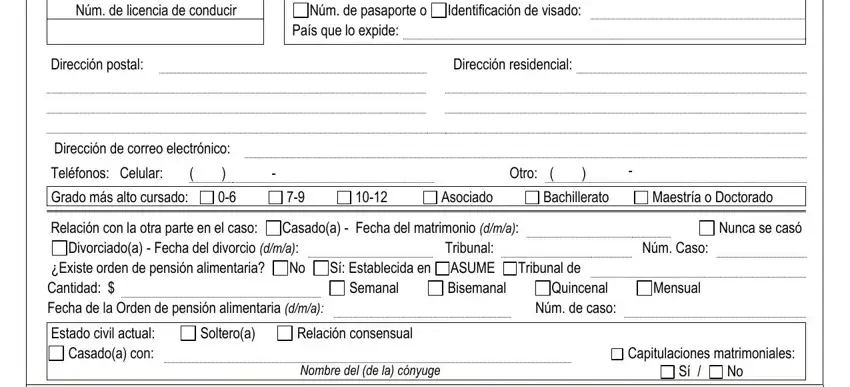 How to complete planilla de información personal y económica part 3