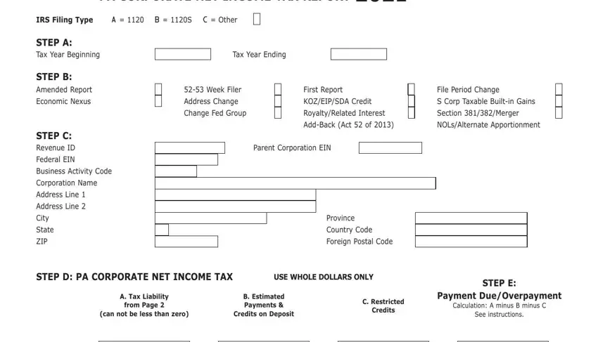 Part # 1 for filling out Pa Rct 101 Form