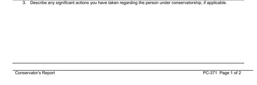 pc 371 conservator's report writing process detailed (portion 2)