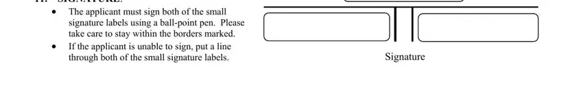png passport authorization form writing process clarified (portion 1)