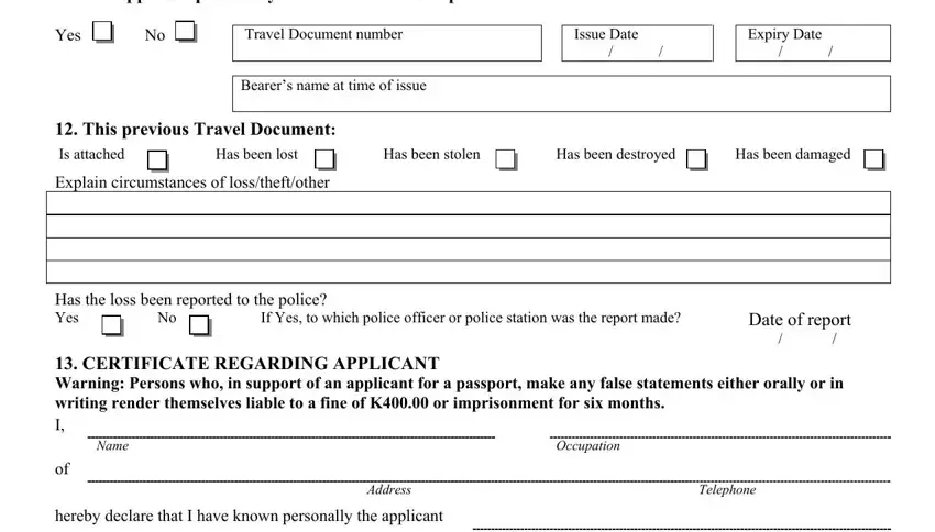 Filling out section 5 of png passport authorization form