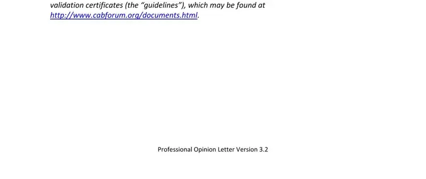Filling in segment 1 in what is your opinion of the applicant s professional judgement