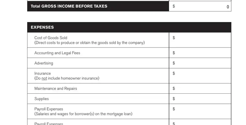 profit and loss statement forms completion process outlined (portion 2)