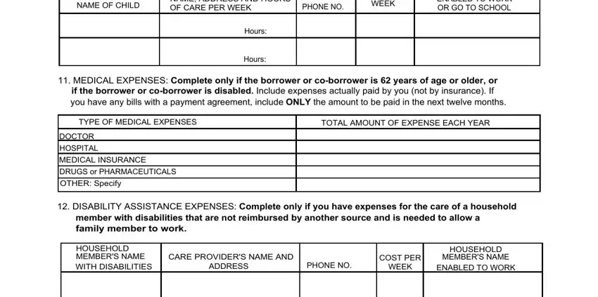 Hours, TYPE OF MEDICAL EXPENSES, and NAME OF CHILD inside subsidy renewal