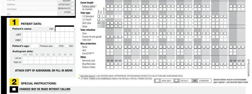 resound custom ear mold order form writing process described (stage 2)