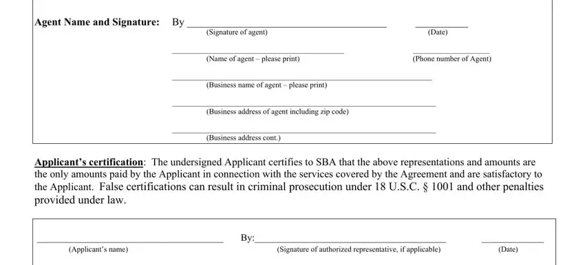 sba form 3245 0201 completion process explained (portion 2)
