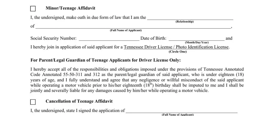 Writing part 1 in tennessee minor affidavit