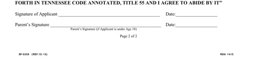 Stage # 4 of filling out tennessee minor affidavit