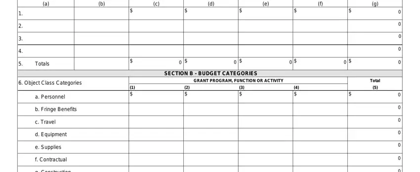 Guidelines on how to complete sf424 forms step 1