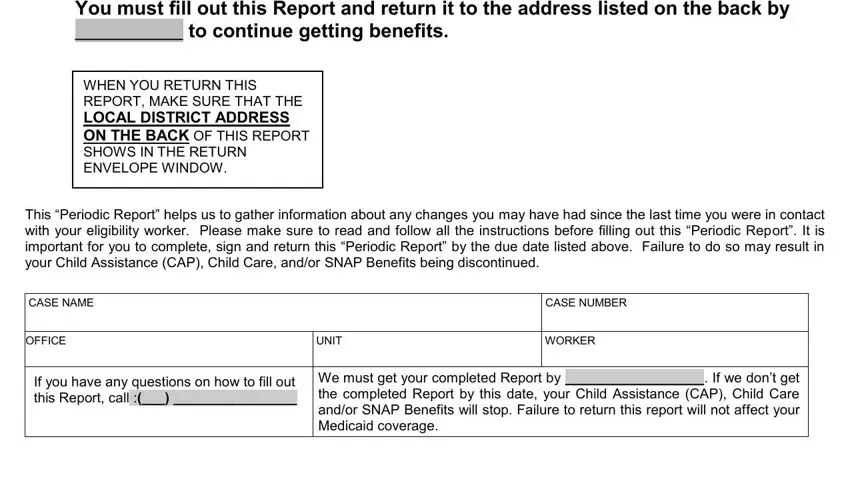 The way to fill out periodic report snap step 1