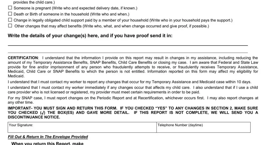 periodic report snap completion process detailed (stage 4)