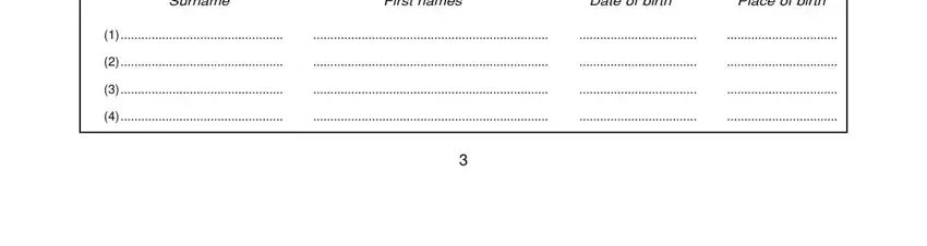 Date of birth, Place of birth, and First names of sample of south africa visa application form