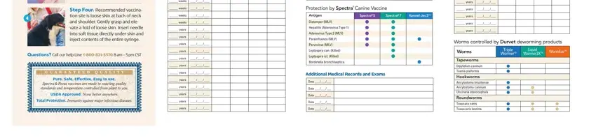 Step # 3 for filling out spectra shot record