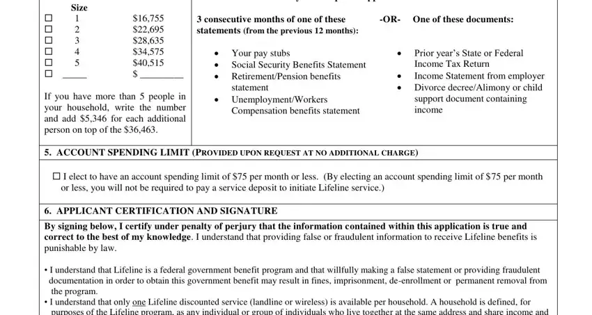 sprint lifeline credit completion process described (portion 3)