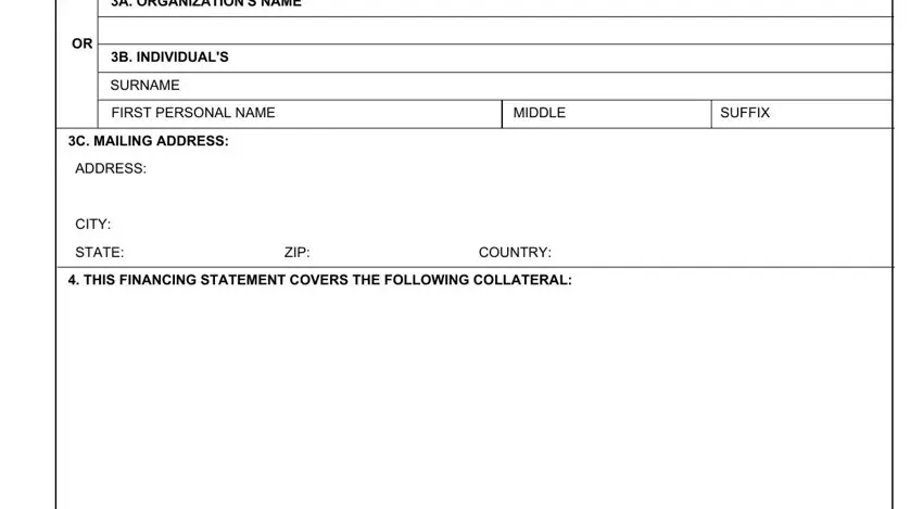 A ORGANIZATIONS NAME, CITY, and FIRST PERSONAL NAME in how to ct ucc