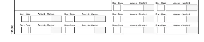 t4a summary completion process explained (step 3)