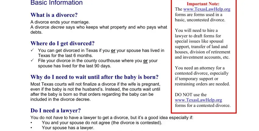 Stage number 2 in filling in texas petition for divorce with child