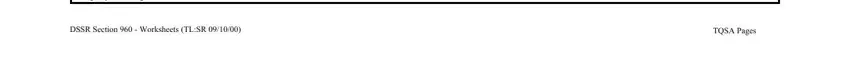 dssr 120 fillable worksheet completion process detailed (portion 3)