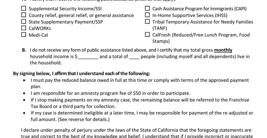 Writing part 2 in Traffic Ticket Amnesty Form