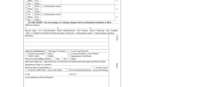 Stage number 2 in filling out state of michigan uniform law citation form
