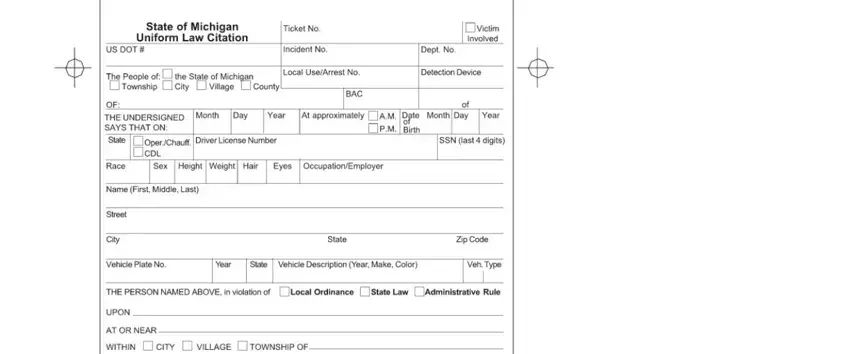 this field, next field, and other fields in state of michigan uniform law citation form