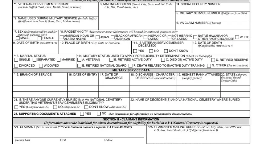 Part number 1 for filling in va form 40 10007 fillable
