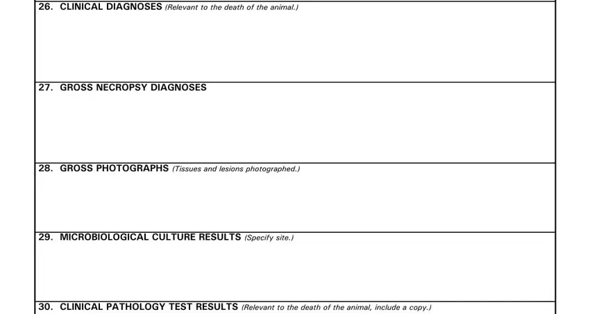 Filling in segment 3 in sample of necropsy report