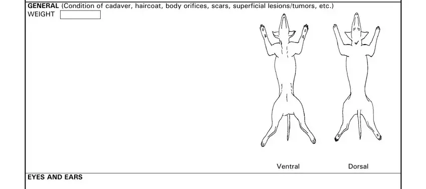 How to prepare sample of necropsy report portion 5