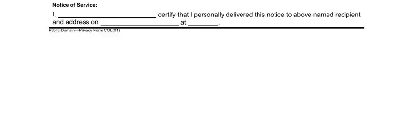 Notice of Service, Public DomainPrivacy Form COL, and I certify that I personally of col warning blank