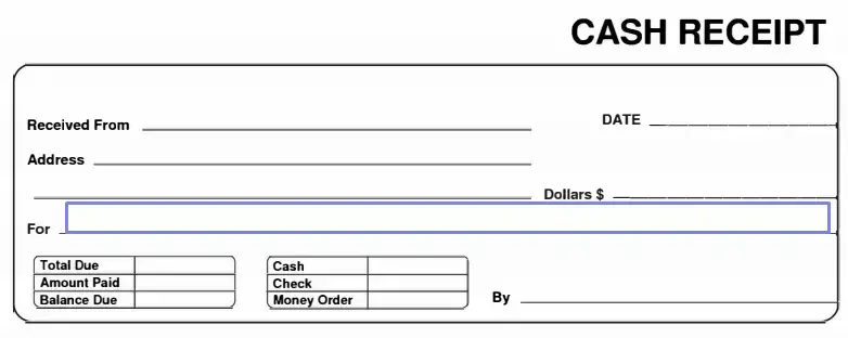 step 6 describe the services or goods filling out a cash receipt