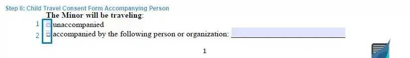 Step 6 to filling out a child travel consent form accompanying person