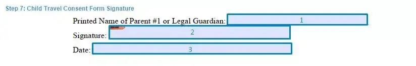 Step 7 to filling out a child travel consent sample signature