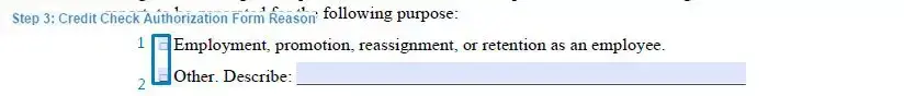 Step 3 to filling out a credit check authorization sample reason