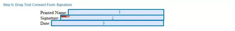 Step 6 to filling out a drug test consent example signature