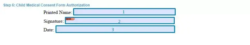 Step 6 to filling out a child medical consent example authorization