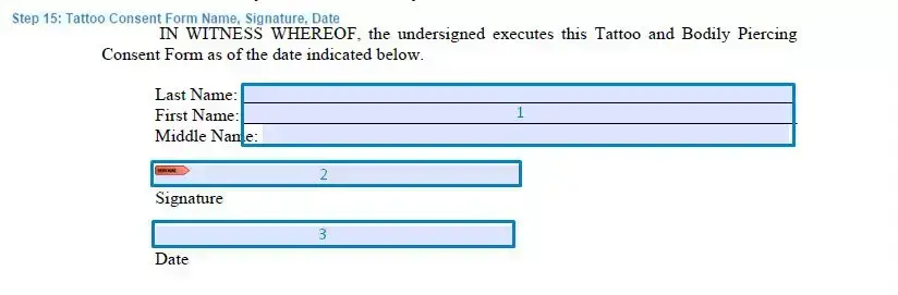 Step 15 to filling out a tattoo consent example name, signature, date