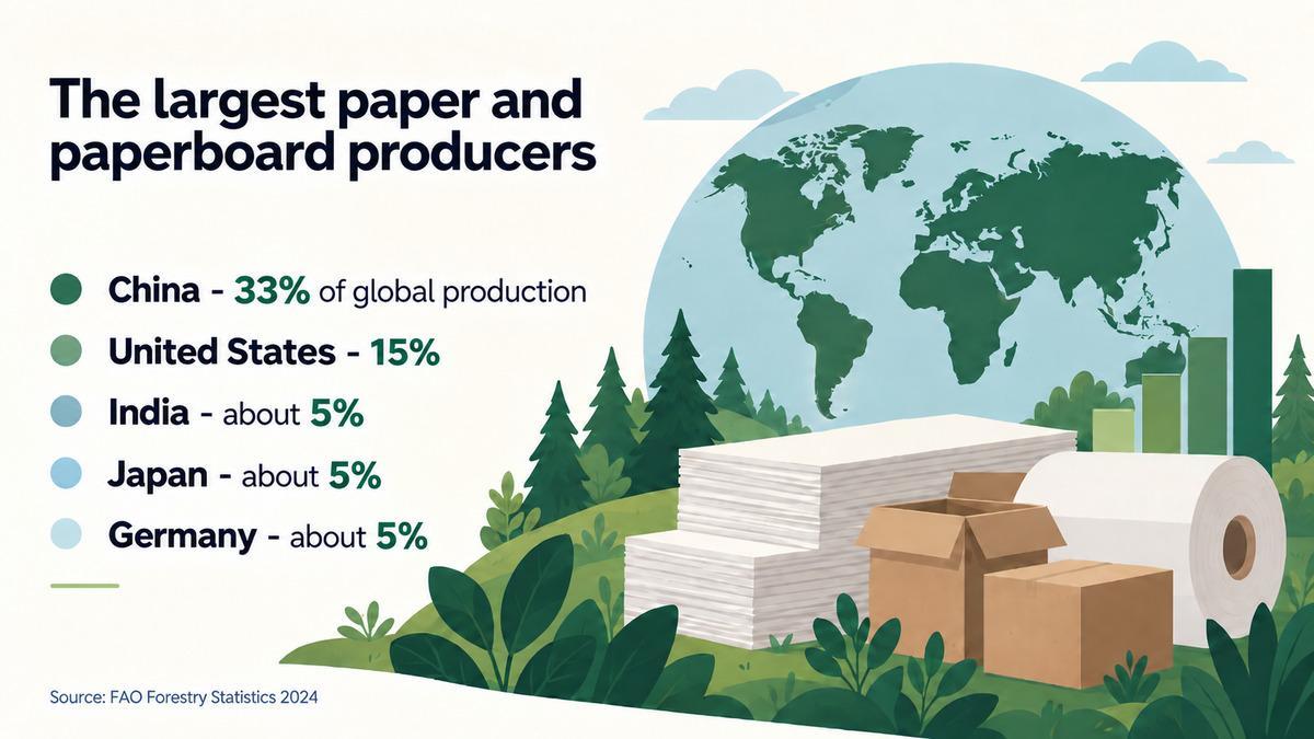 The largest paper and paperboard producers